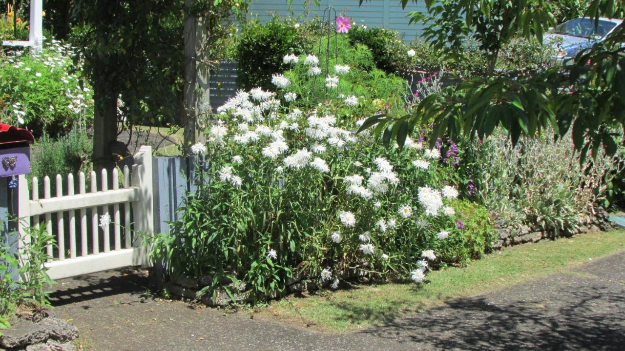 Cozy Haven - Waihi Apartman Kültér fotó