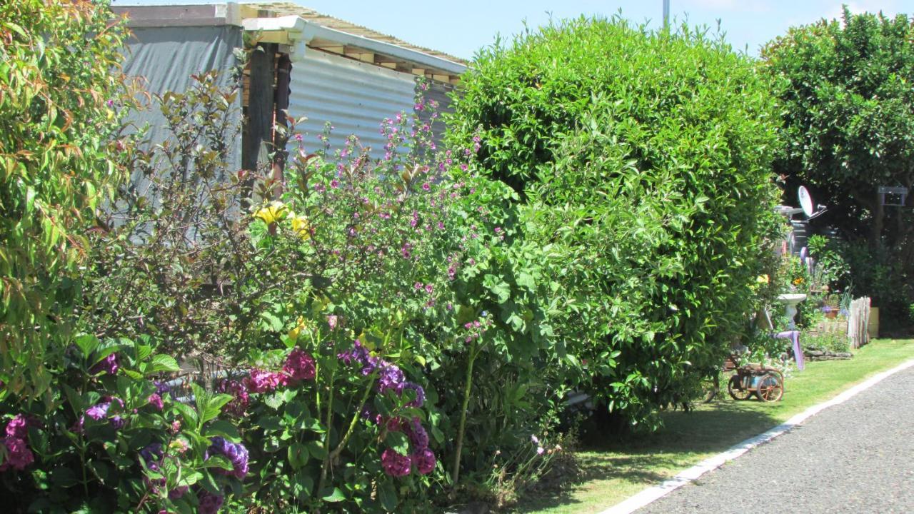 Cozy Haven - Waihi Apartman Kültér fotó